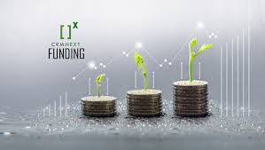 Coins with seedling on top