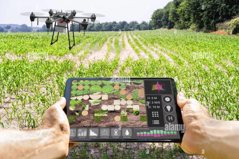Image of a drone being operated with a tablet PC as it hovers above a rice field