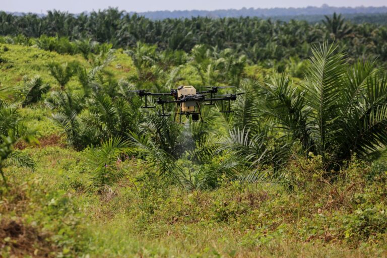 An Aerodyne drone while being used to help the agriculture sector address global food security challenges through precision farming