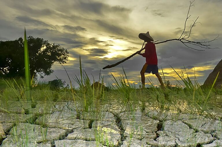 A farmer affected by El Nino phenomenon