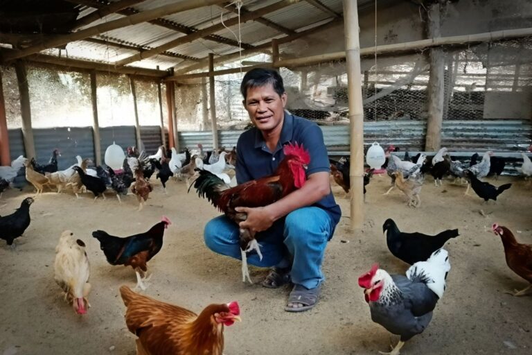 Ritchie Tenegra, a dedicated cop who has vowed to ‘serve and protect’ his community for 25 years, in his chicken coop