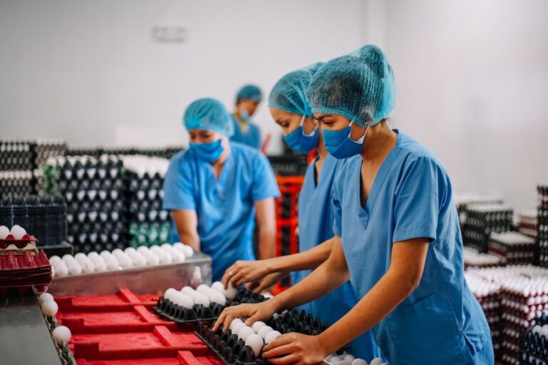 Workers at Tierra Del Sur Farms, an egg and poultry farm in Romblon Province