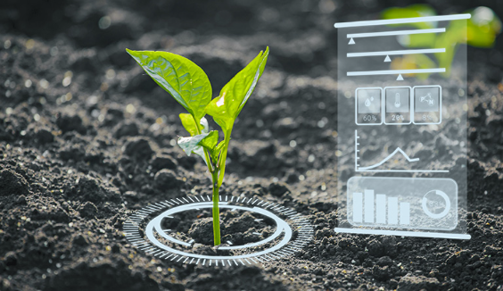 Artificial Intelligence is predicted to revolutionize PH agriculture, as shown in this image of a budding plant with CGI effects