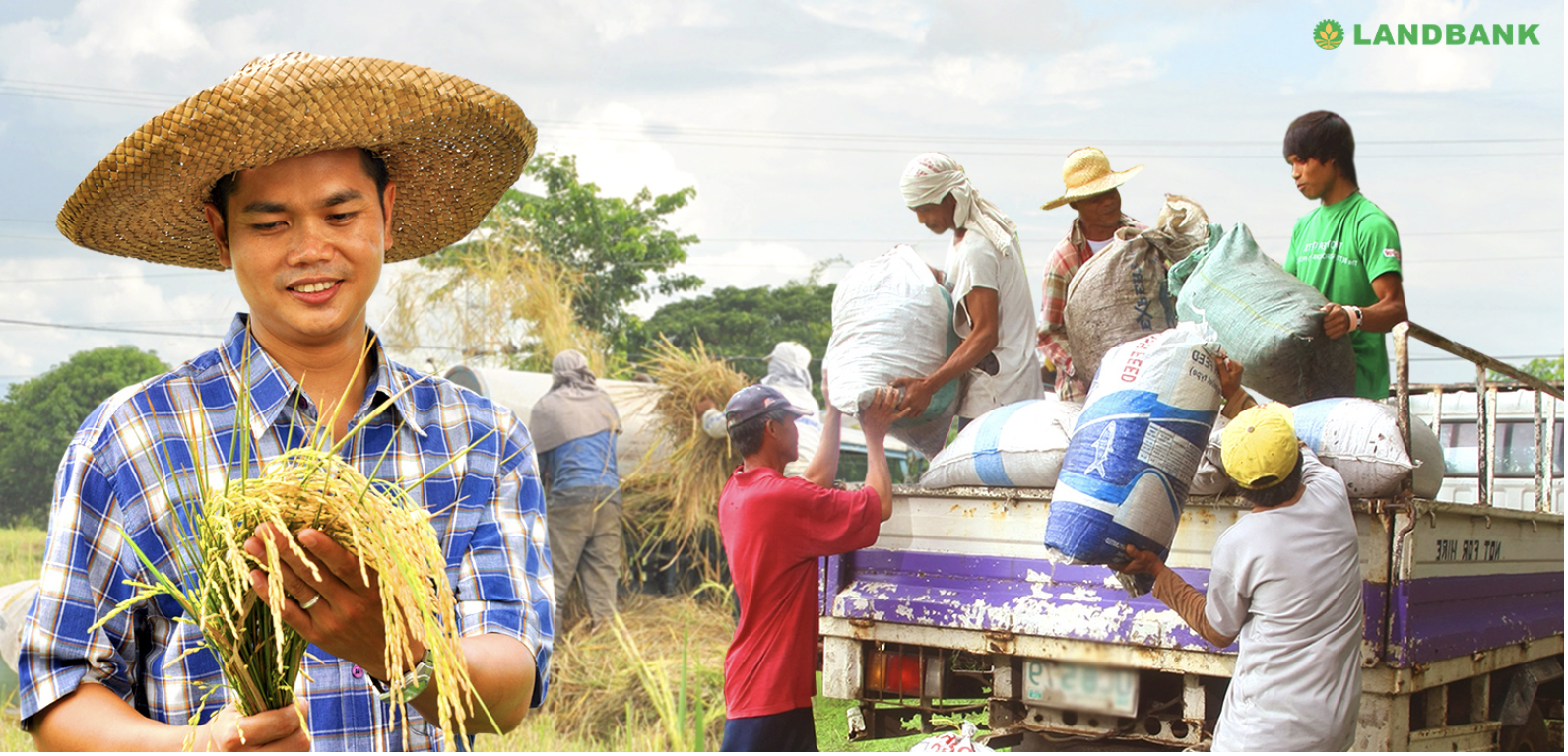Photo of farmers to show LANDBANK's commitment to promoting inclusive and sustainable development in the agriculture sector