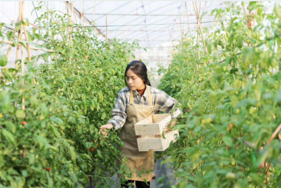 This Filipina food entrepreneur can gain a lot from the BSP's MAF project