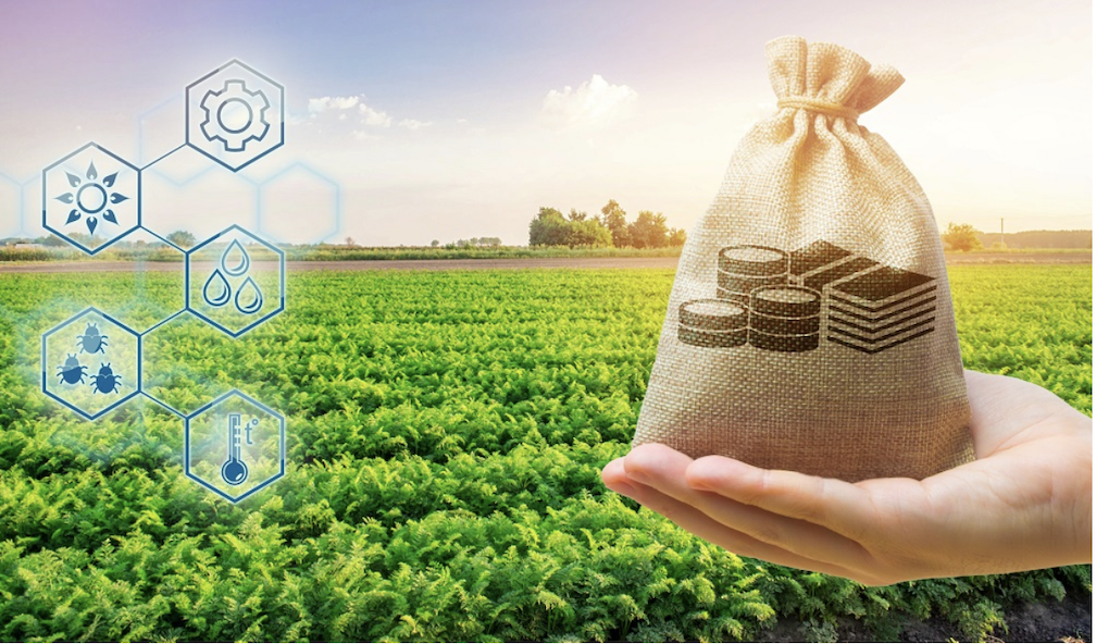 A hand holding a bag full of coins (money) with a farm lot in the background to show how e-wallets are empowering agri-fintech’s rise for Filipino farmers