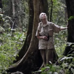 Jane Goodall (in photo) gets AWS backing in digital transformation of Institute’s archives with $1M AI investment from AWS