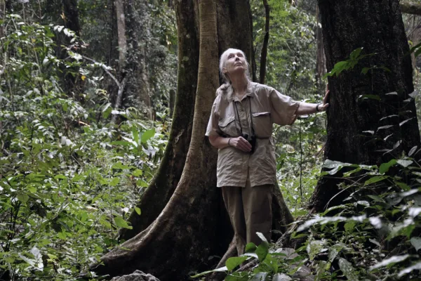 Jane Goodall (in photo) gets AWS backing in digital transformation of Institute’s archives with $1M AI investment from AWS