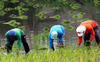 Flood-hit farmers and fishers can borrow up to ₱35,000 interest-free under AGRI-RECOVER